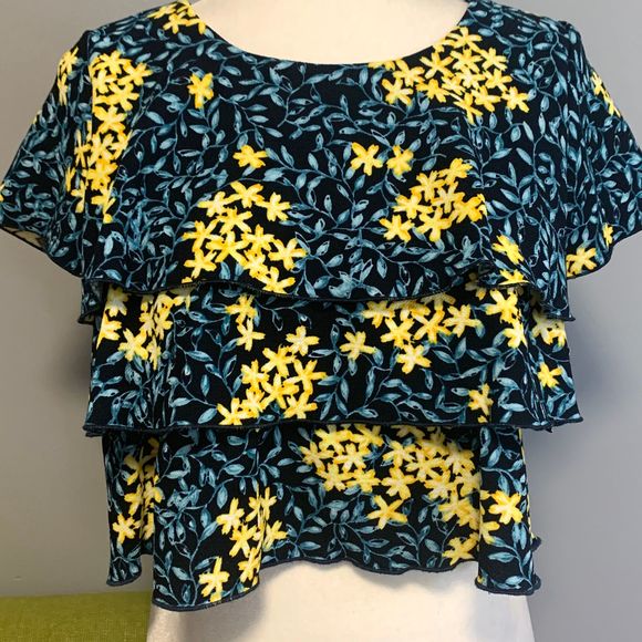 Zara Tops Zara Blue Floral Ruffle Crop Top New Poshmark